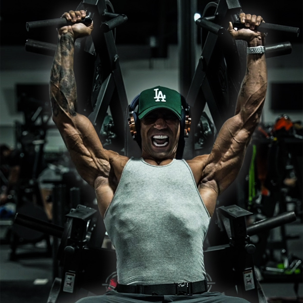 The Shoulder Blueprint