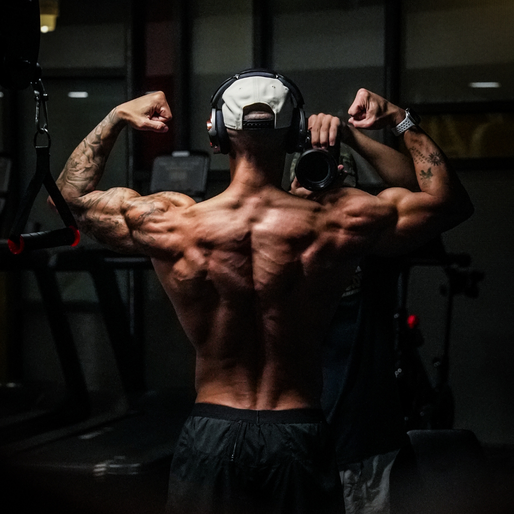 The Back Blueprint