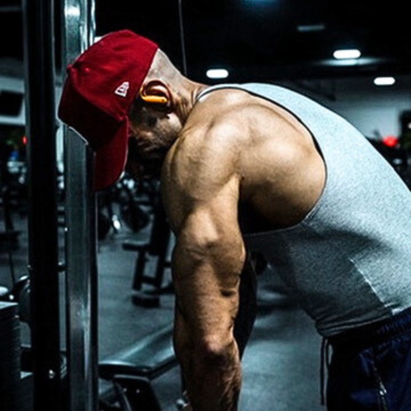 The Tricep Blueprint