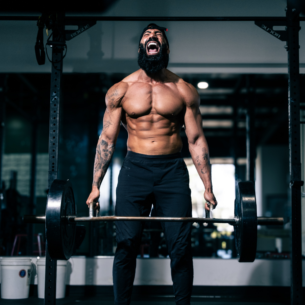 The Leg Blueprint
